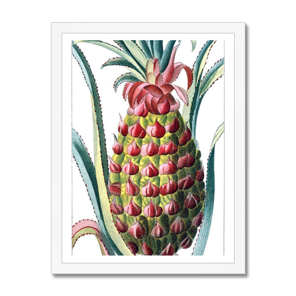 Pineapple Framed Print