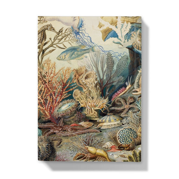 Ocean Life Hardback Journal