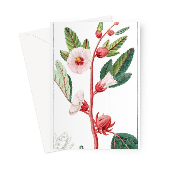 Roselle Greeting Card