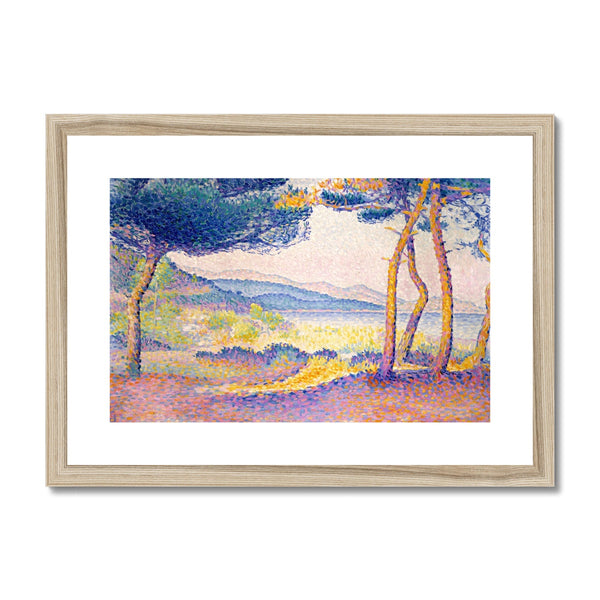 Pines Along the Shore Framed & Mounted Print