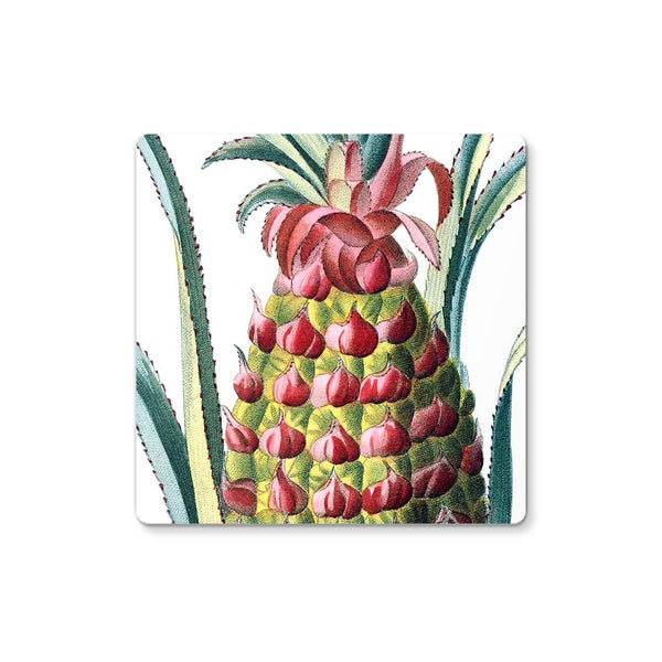 Pineapple Coaster