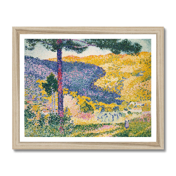 Shade on the Mountain Framed Print