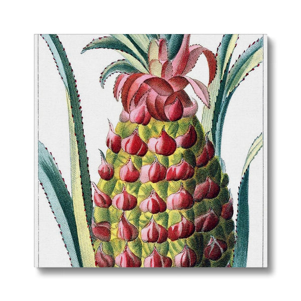 Pineapple Canvas