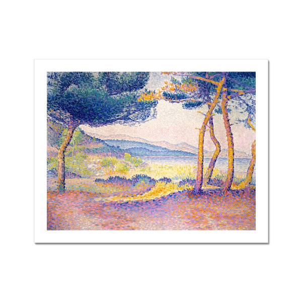 Pines Along the Shore Wall Art Poster