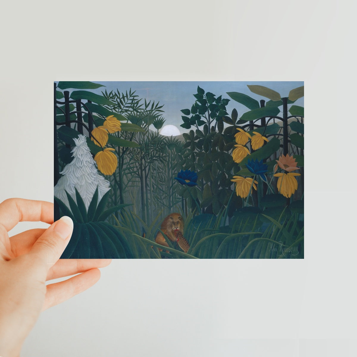 Tropical Forest & The Lion Classic Postcard