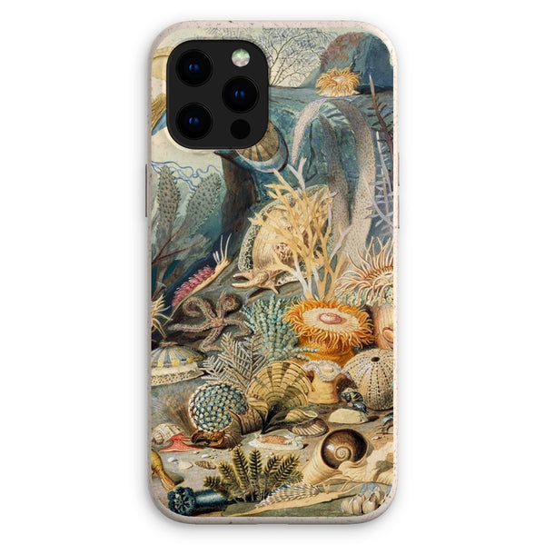 Ocean Life Eco Phone Case