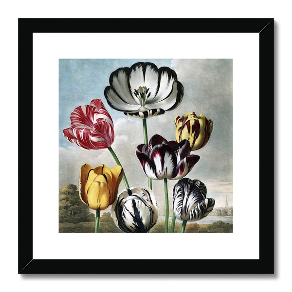 Tulips Framed & Mounted Print