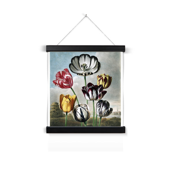 Tulips Fine Art Print with Hanger