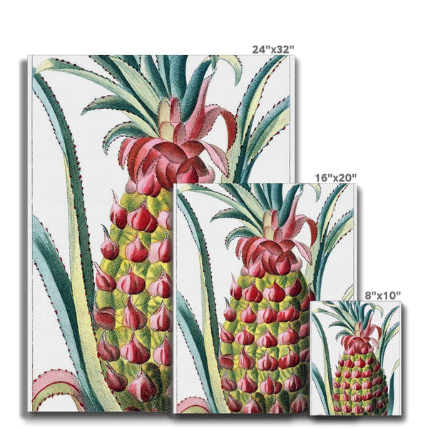 Pineapple Canvas