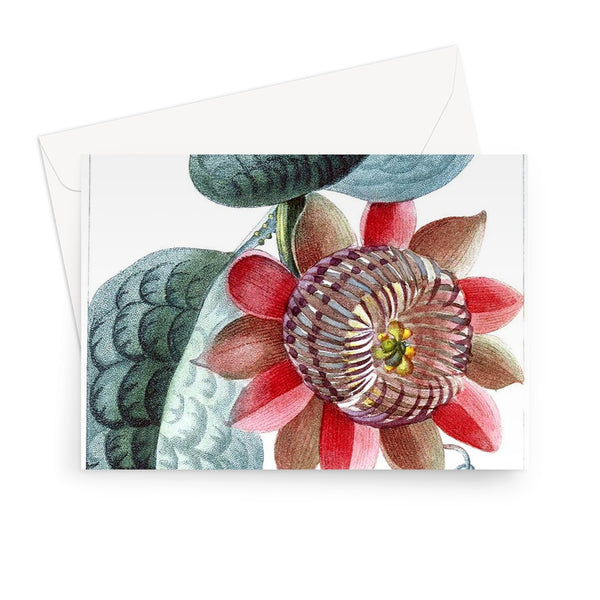 Giant Granadilla Greeting Card