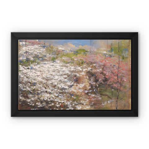 Field of Blossoms Framed Canvas