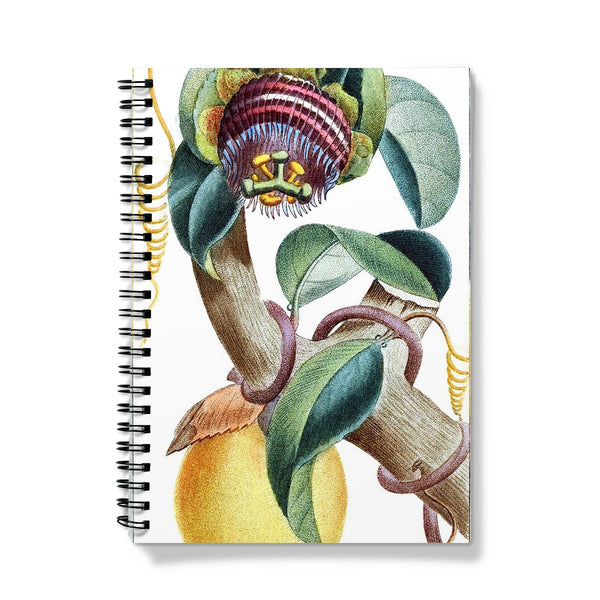 Lemons Notebook