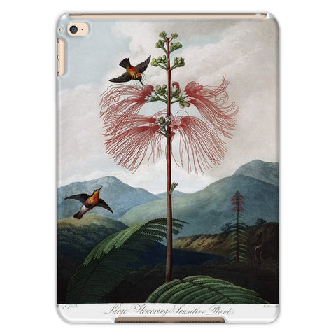 Calliandra Houstoniana Tablet Cases