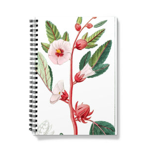 Roselle Notebook