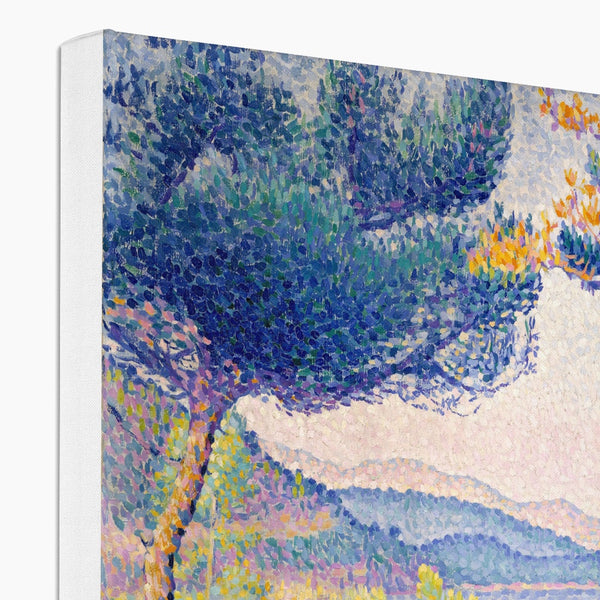 Pines Along the Shore Eco Canvas