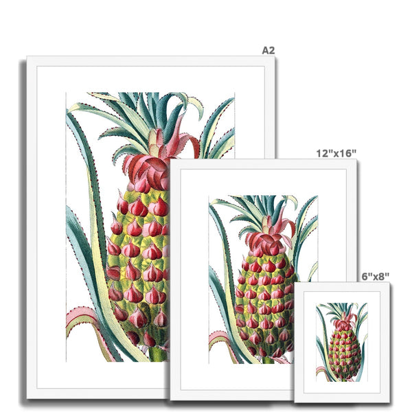 Pineapple Framed & Mounted Print