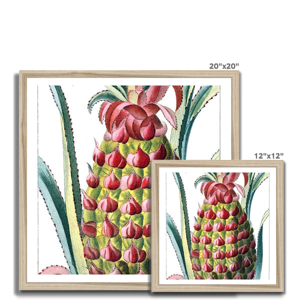 Pineapple Framed Print