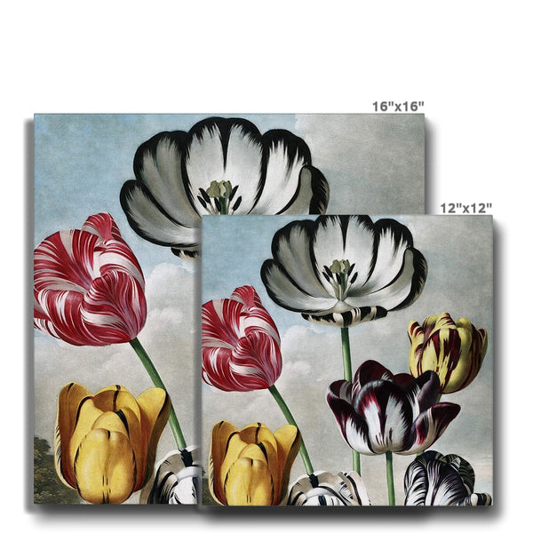 Tulips Canvas