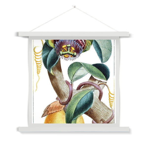 Lemons Fine Art Print with Hanger