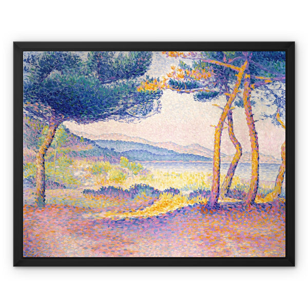 Pines Along the Shore Framed Canvas