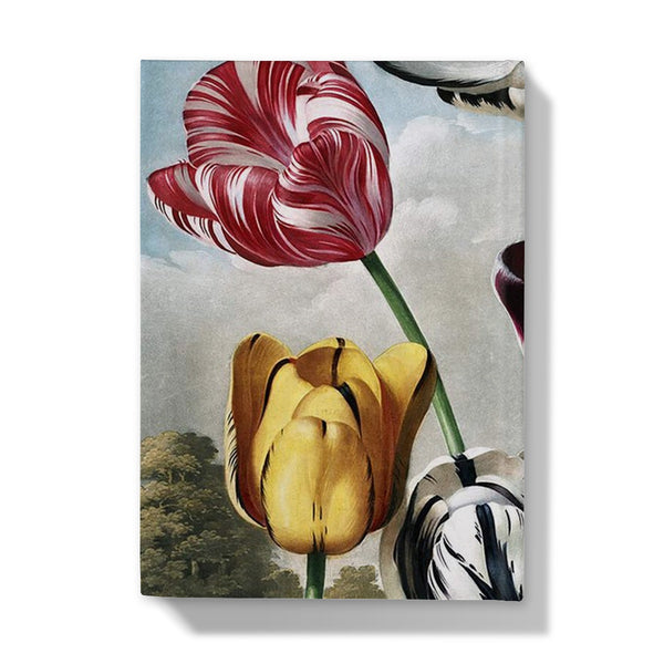 Tulips Hardback Journal