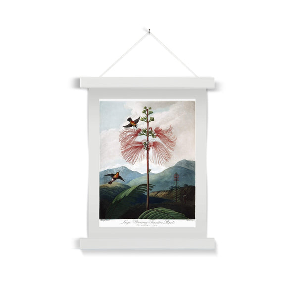 Calliandra Houstoniana Fine Art Print with Hanger