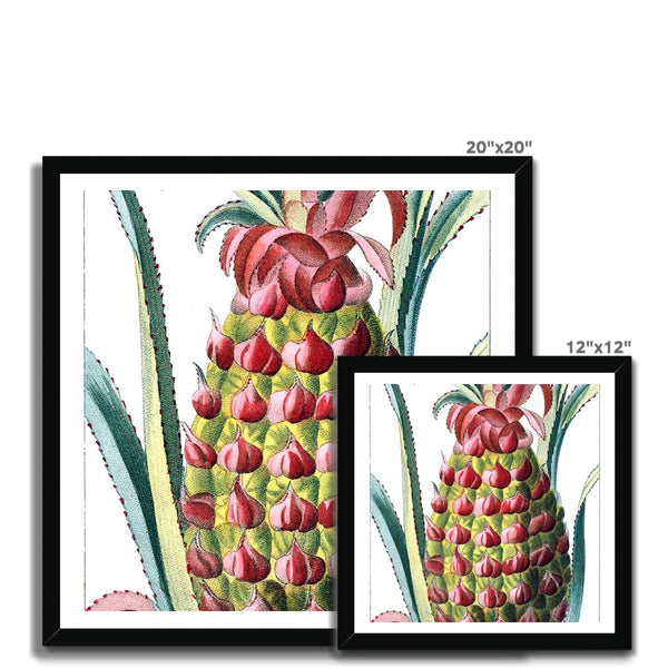 Pineapple Framed Print