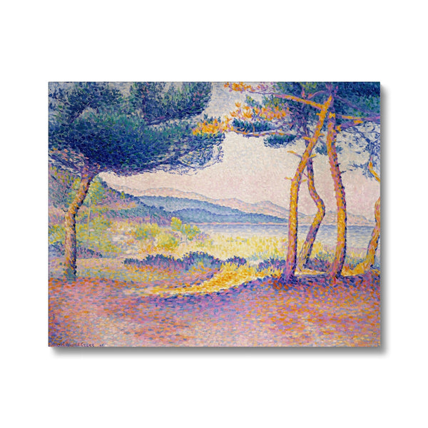 Pines Along the Shore Canvas