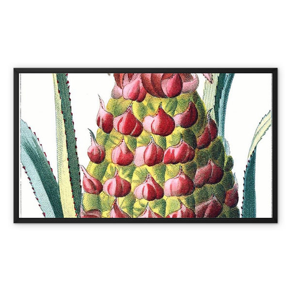 Pineapple Framed Canvas