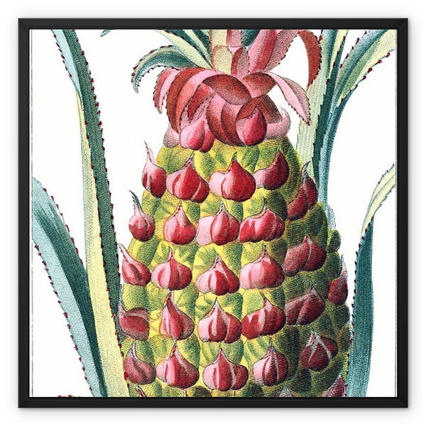 Pineapple Framed Canvas