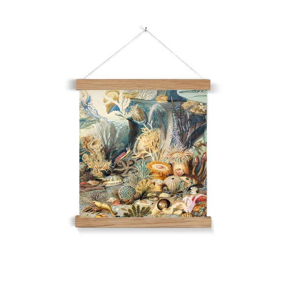 Ocean Life Fine Art Print with Hanger