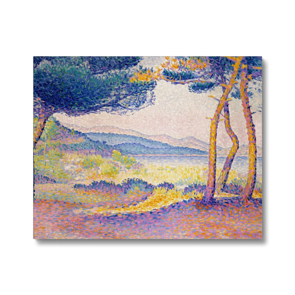 Pines Along the Shore Canvas