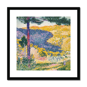 Shade on the Mountain Framed & Mounted Print