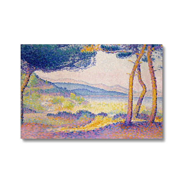 Pines Along the Shore Eco Canvas