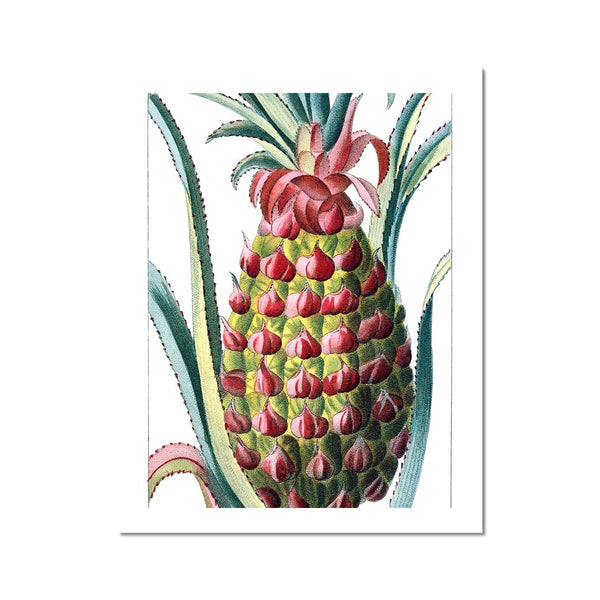 Pineapple Fine Art Print