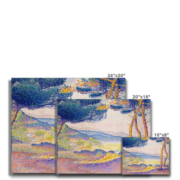 Pines Along the Shore Canvas