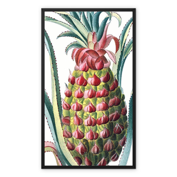 Pineapple Framed Canvas