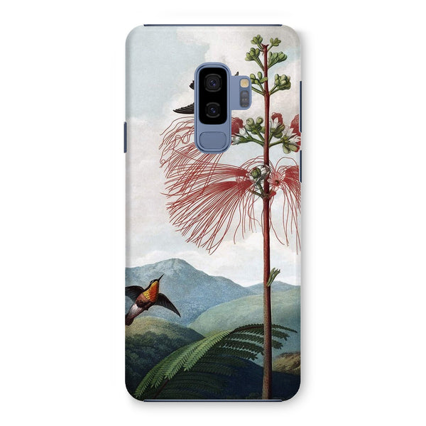 Calliandra Houstoniana Snap Phone Case