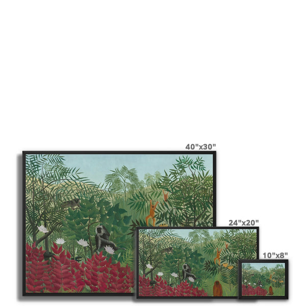 Tropical Forest & Monkeys Framed Canvas