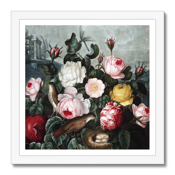 Roses Framed Print