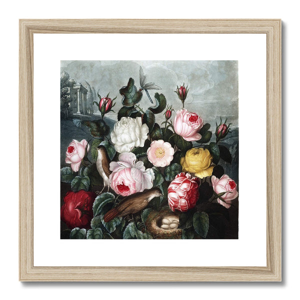 Roses Framed & Mounted Print