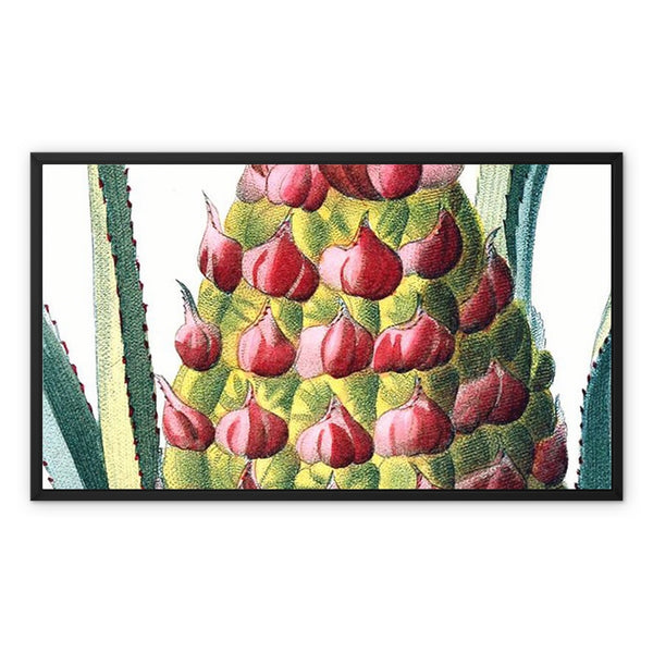 Pineapple Framed Canvas