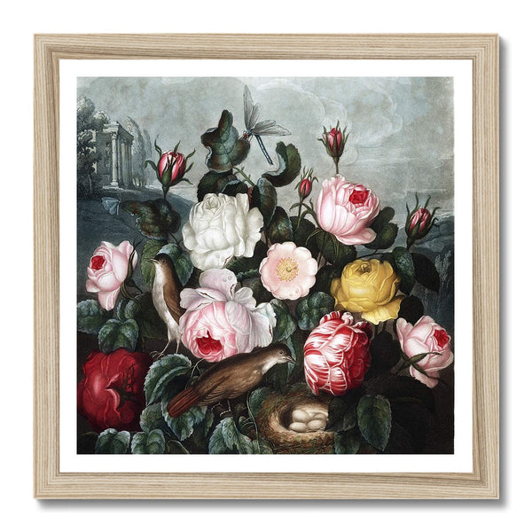 Roses Framed Print