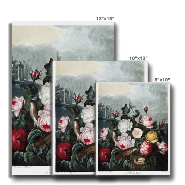 Roses Canvas