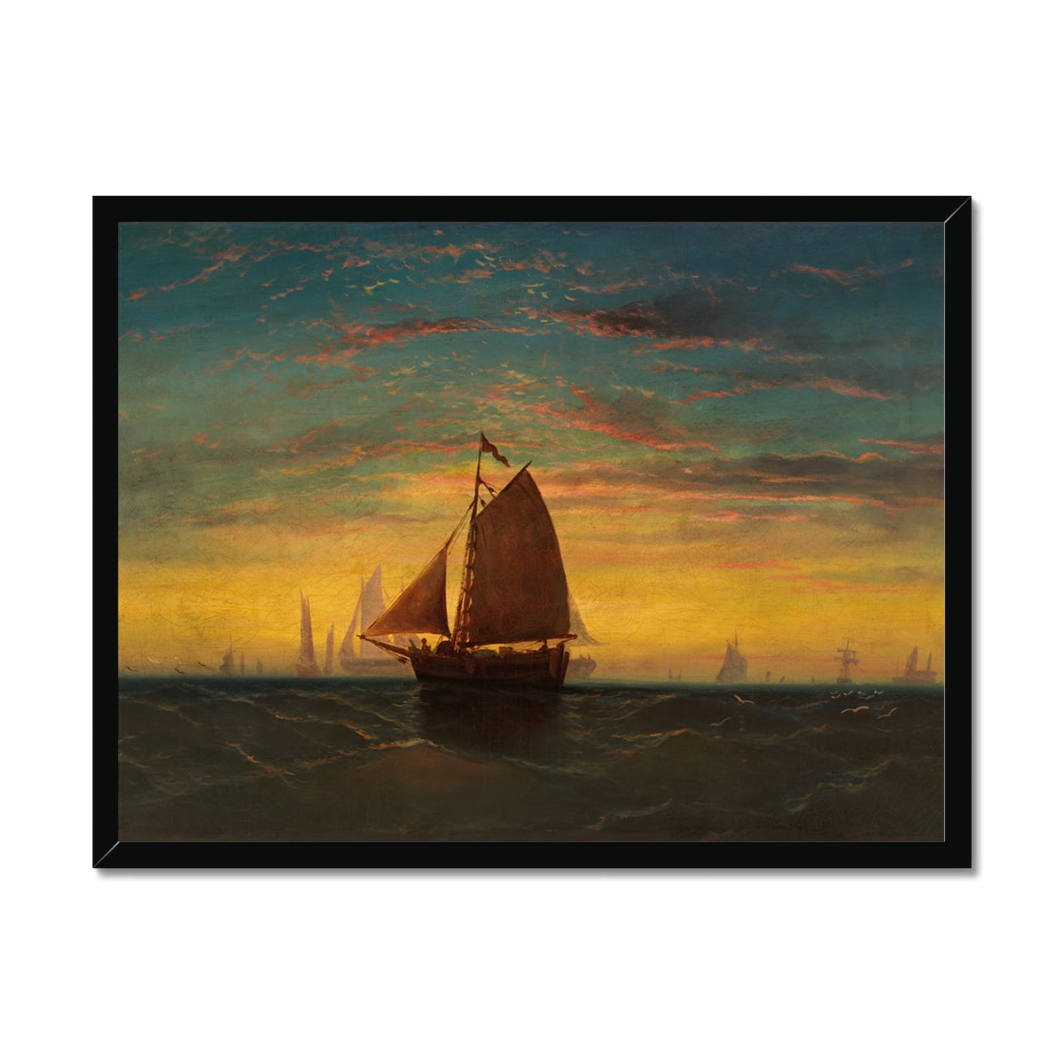 Boston Harbour Framed Print