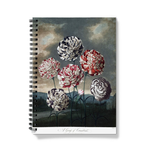 Carnations Notebook