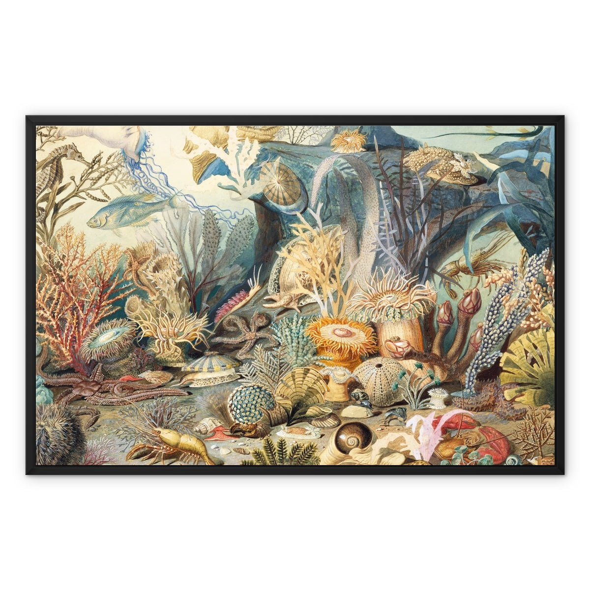 Ocean Life Framed Canvas