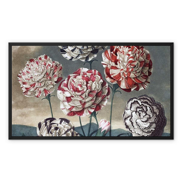 Carnations Framed Canvas