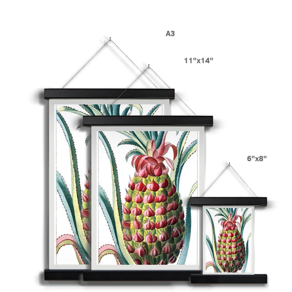 Pineapple Fine Art Print with Hanger