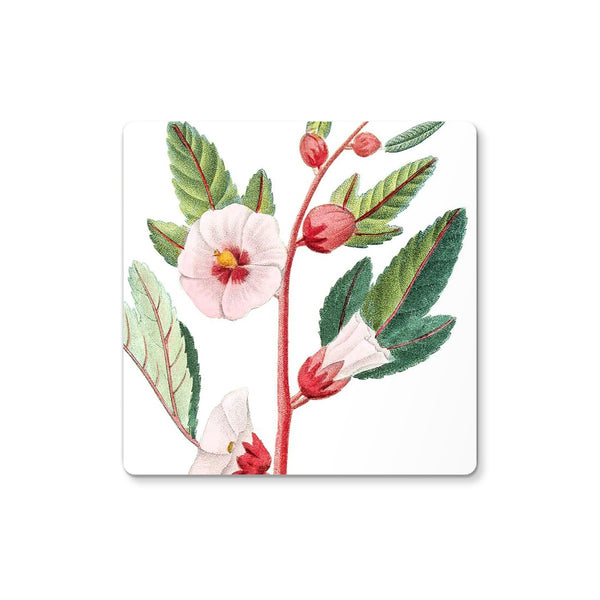 Roselle Coaster